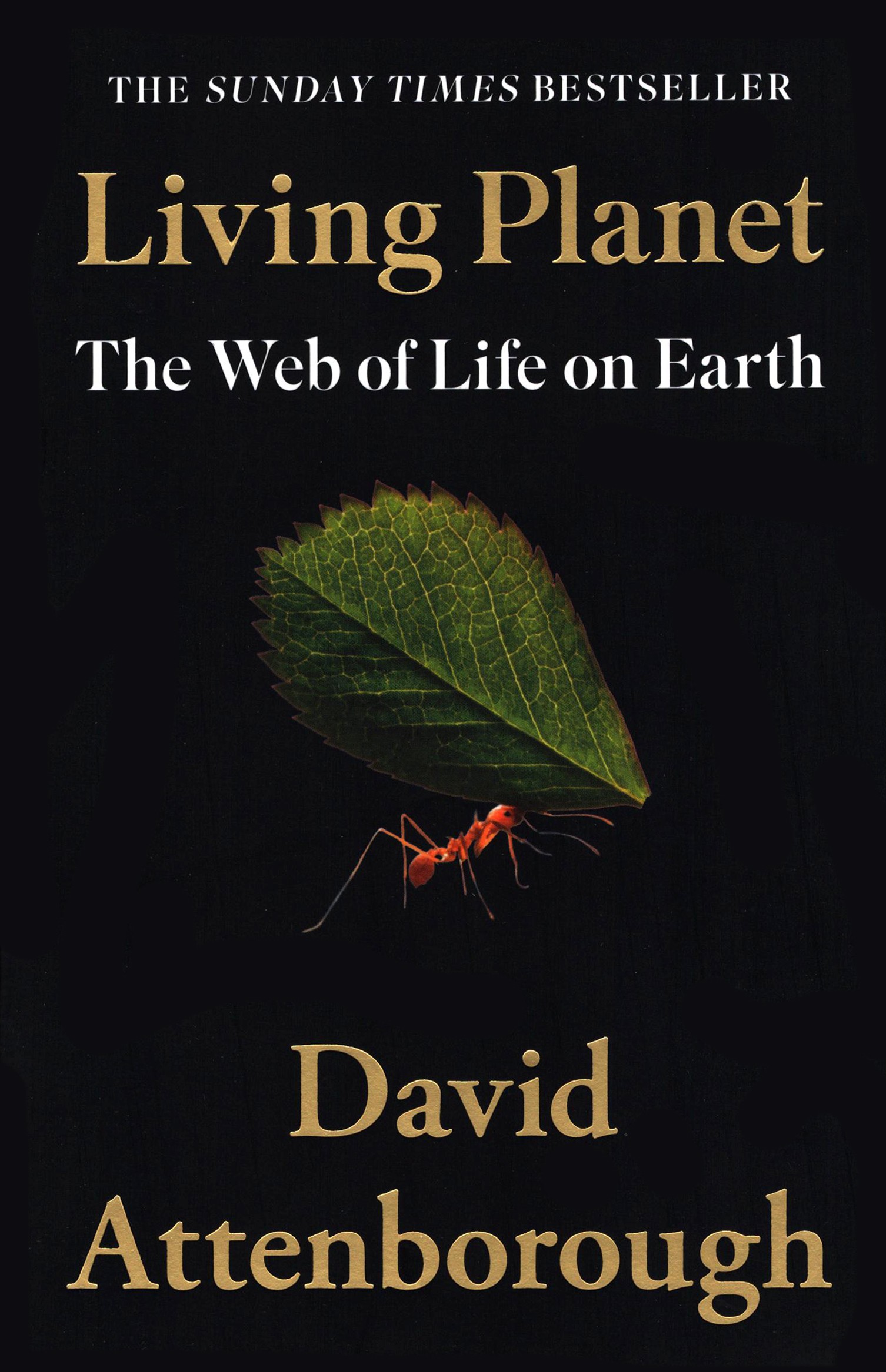 

Living Planet The Web of Life on Earth