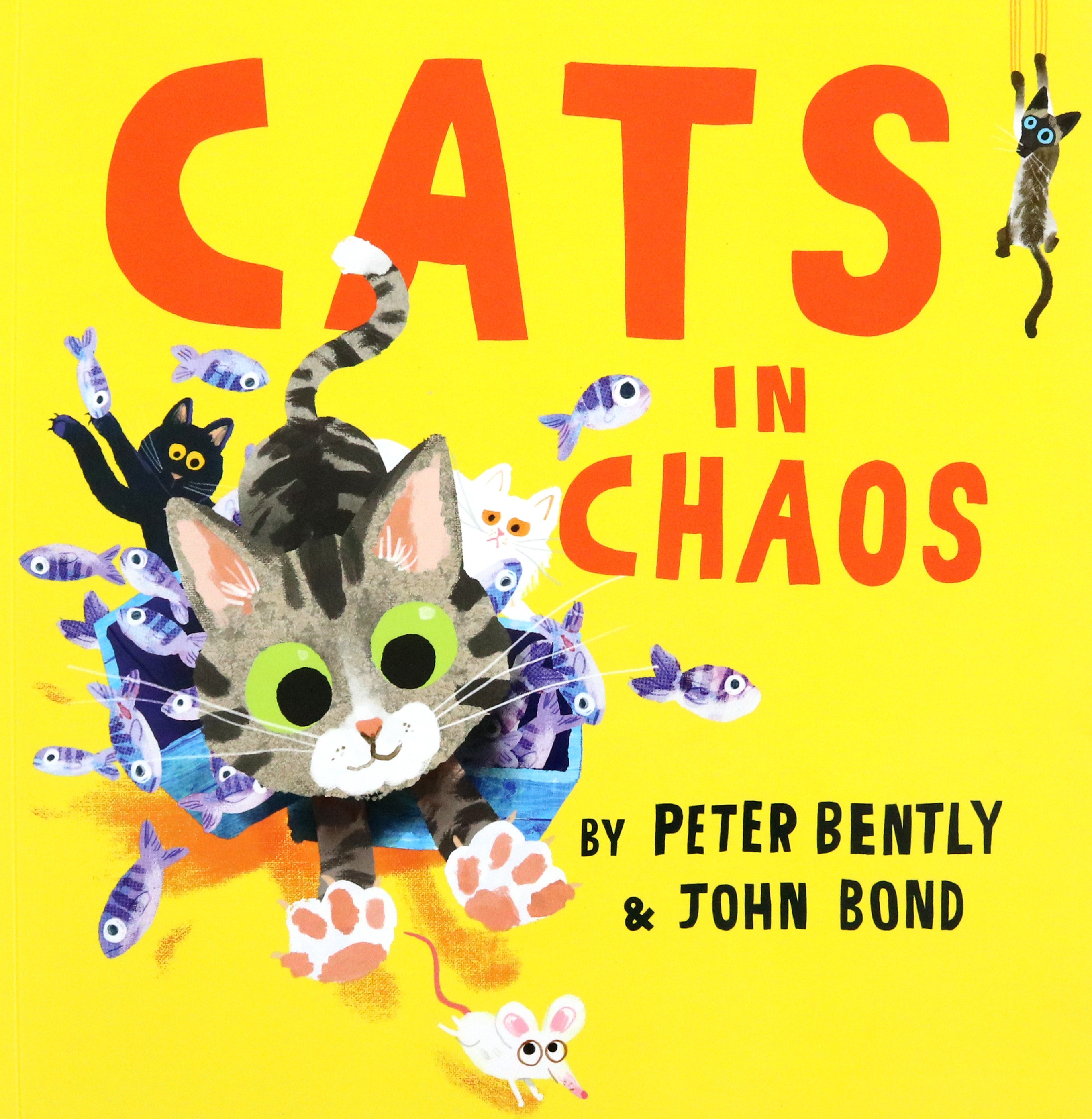 

Cats in Chaos