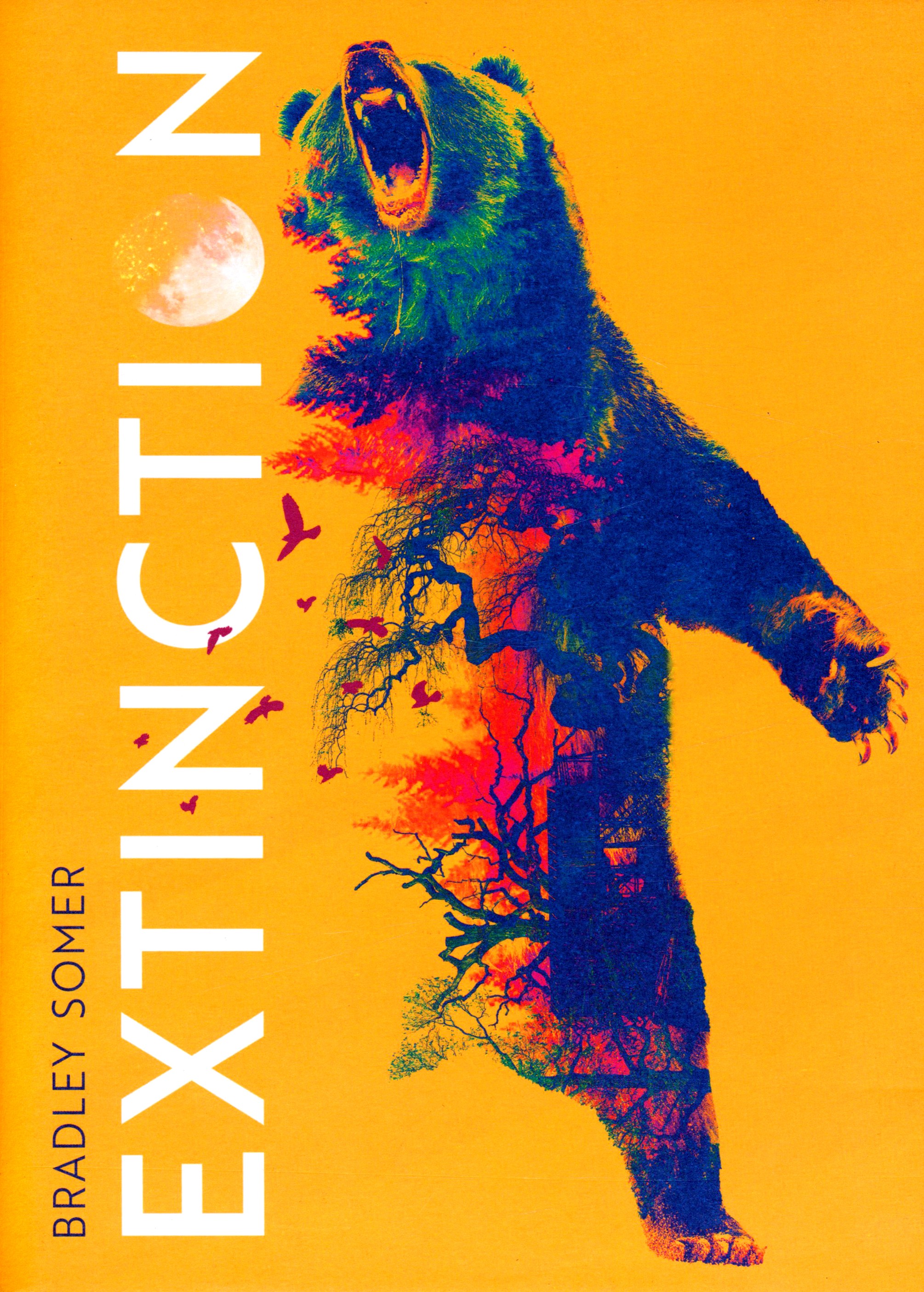 

Extinction