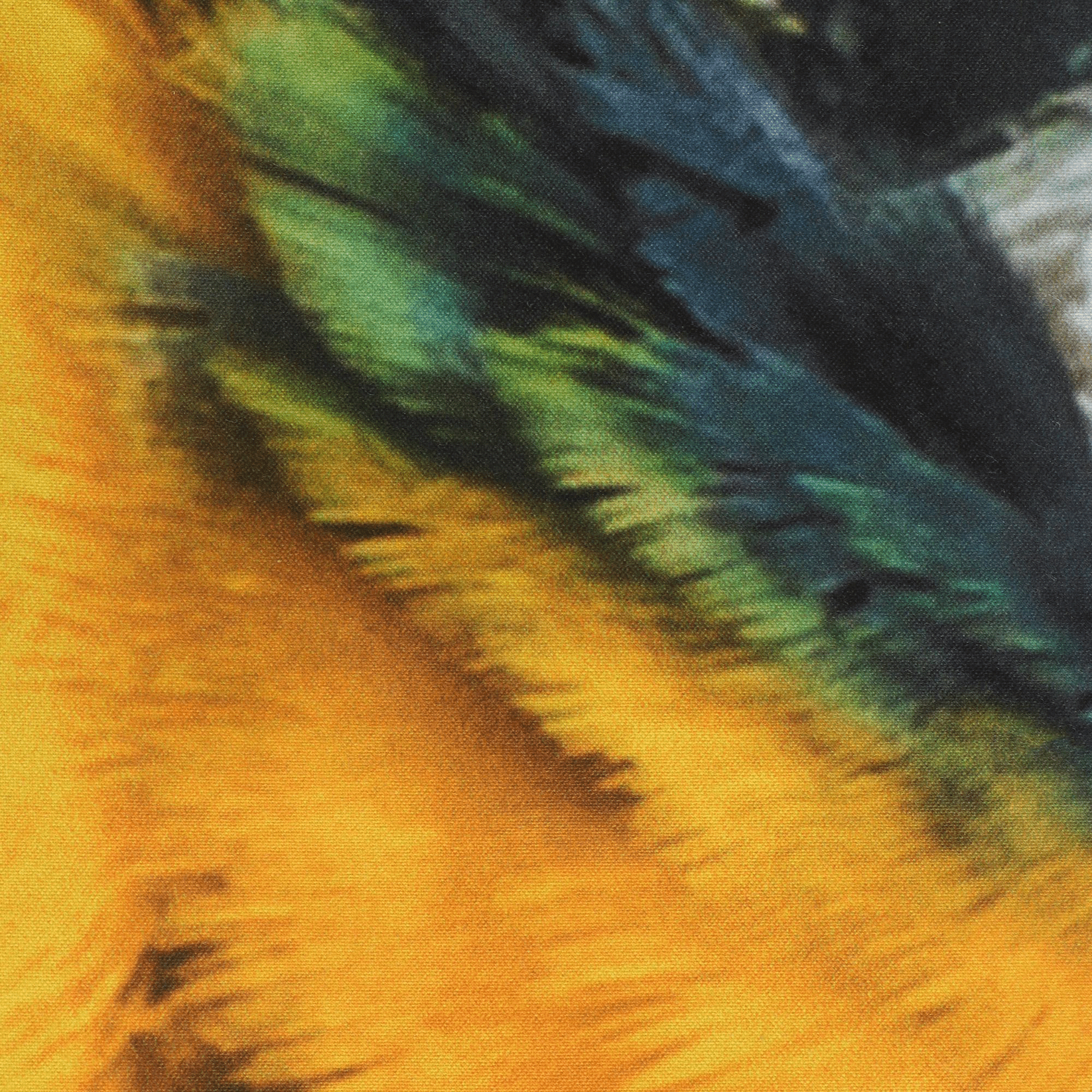 Комплект постельного белья Matteo bosio 2 сп цветной попугай