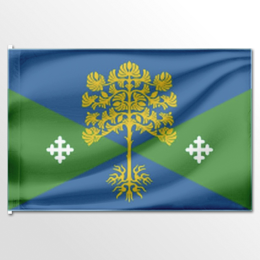 

Флаг ЦТП ФЕНИКС сельского поселения Восточное 135x90 см, 6503-135x90