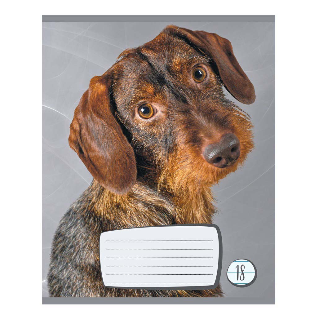 

Тетрадь тонкая Academy Style Собаки 18 листов А5 в линию в ассортименте