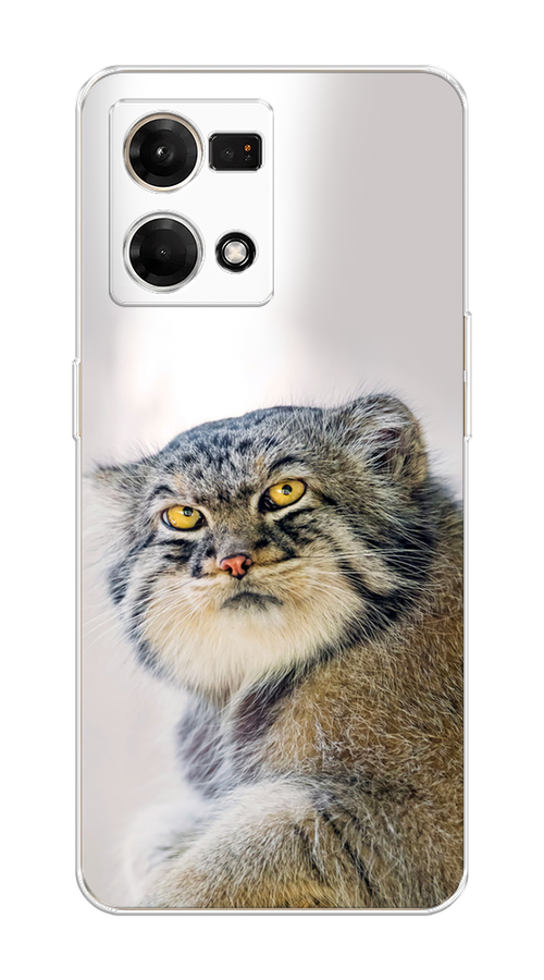 

Чехол на Oppo Reno 7 4G/8 4G "Кот манул 1", Серый;белый;желтый, 2511250-1