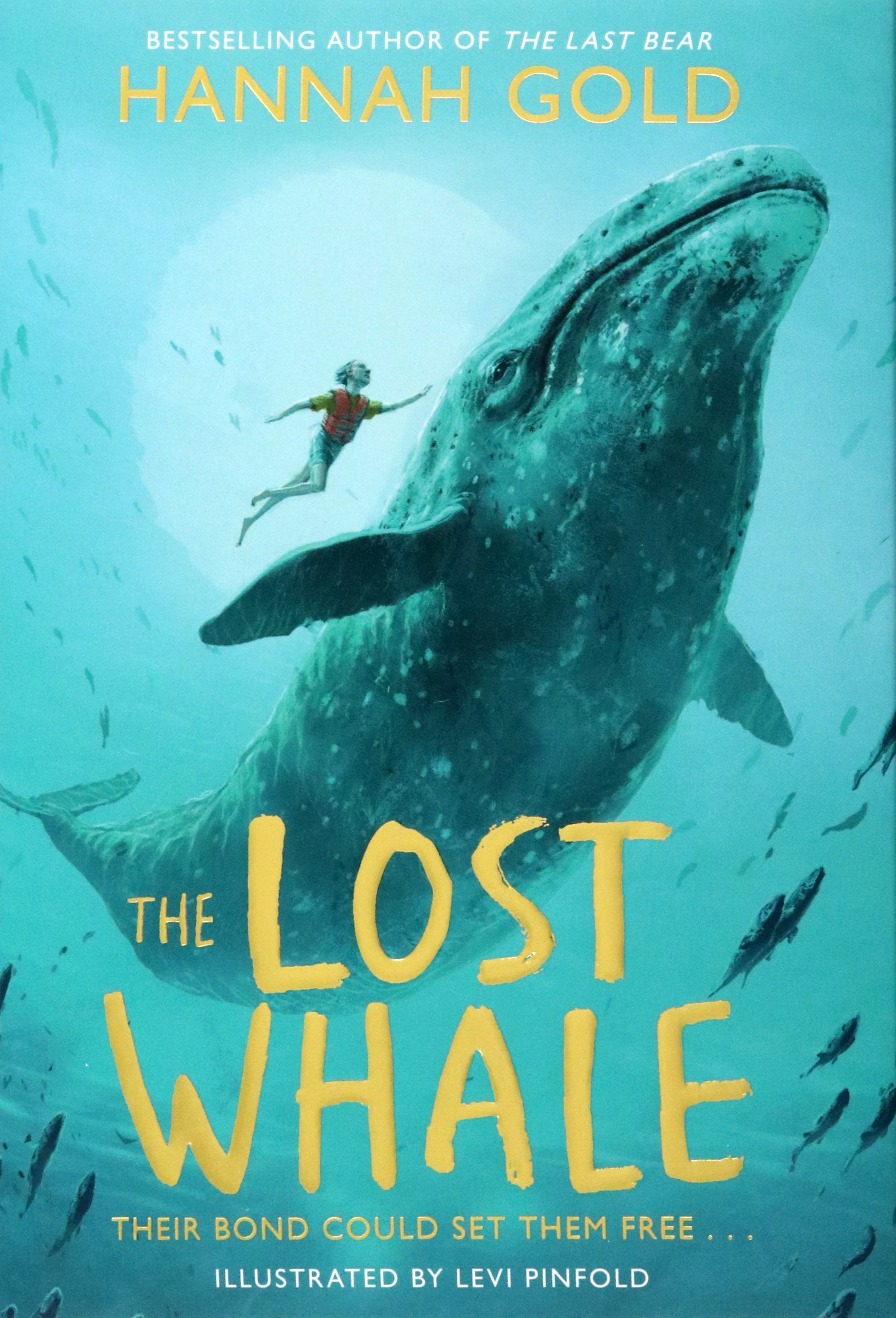 

The Lost Whale
