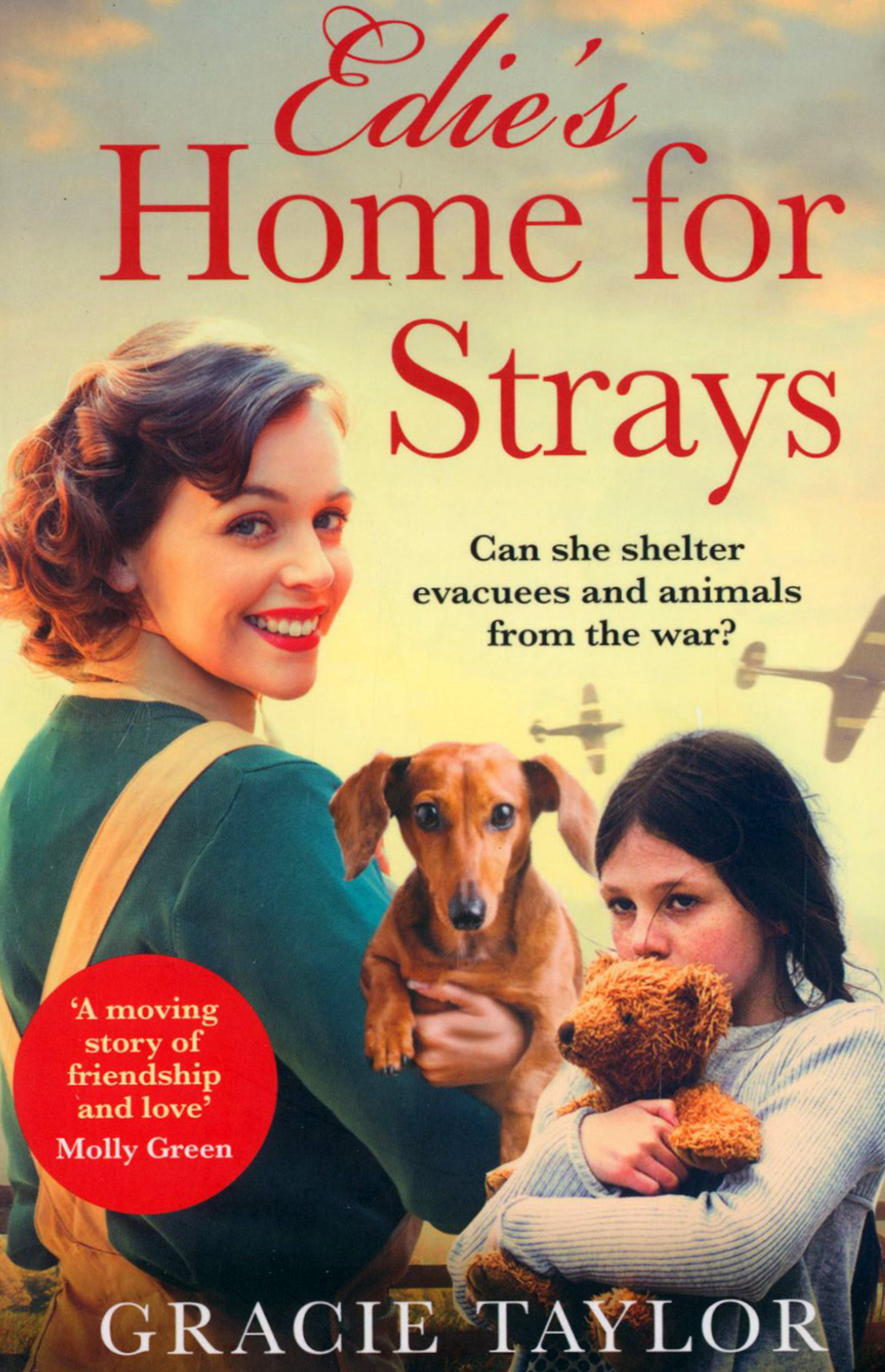 

Edies Home for Strays