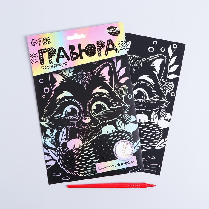 

Гравюра «Енотик на полянке» А5, с металлическим эффектом голография, (3шт.)