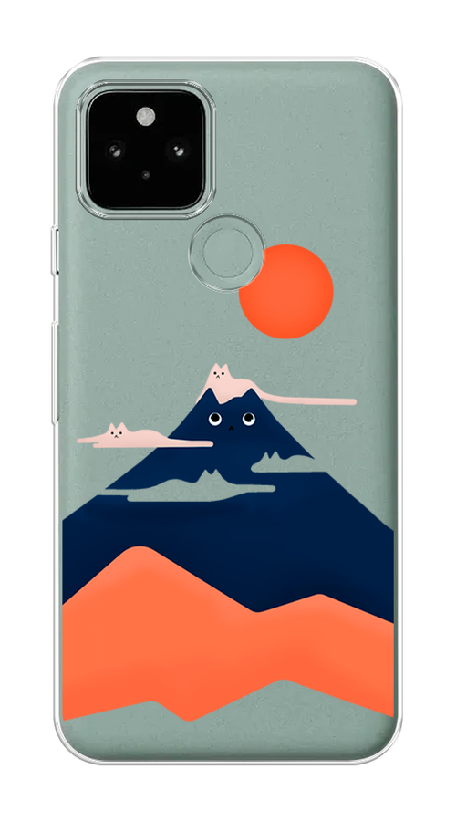 Google Pixel 5 Чехол Купить