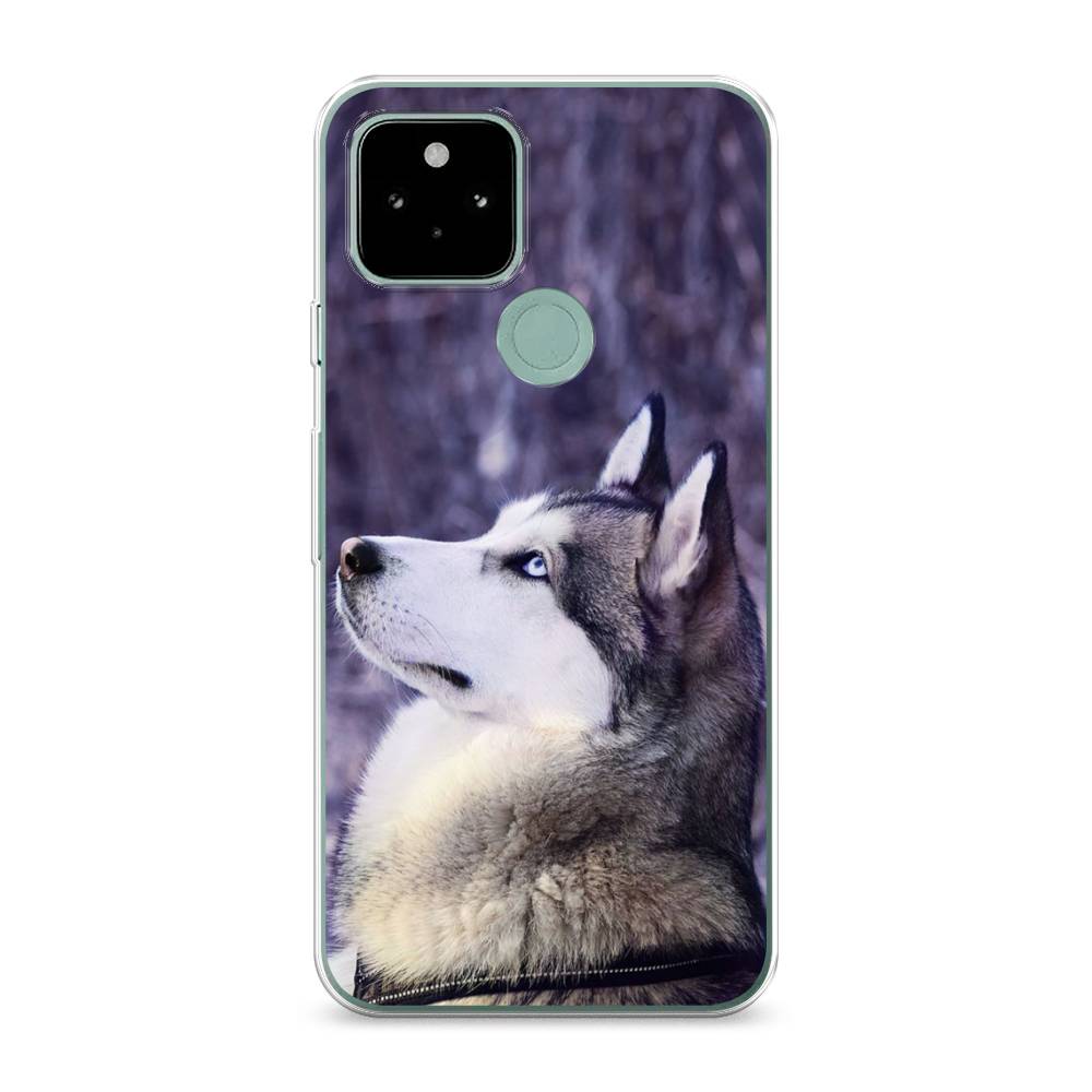 

Чехол для Google Pixel 5A "Хаски 1", Фиолетовый;белый, 271050-1