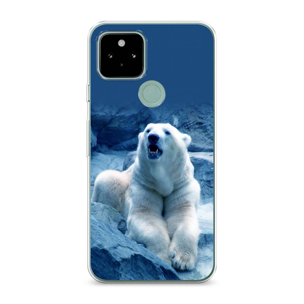 

Чехол для Google Pixel 5A "Белый медведь", Голубой;белый, 271050-1