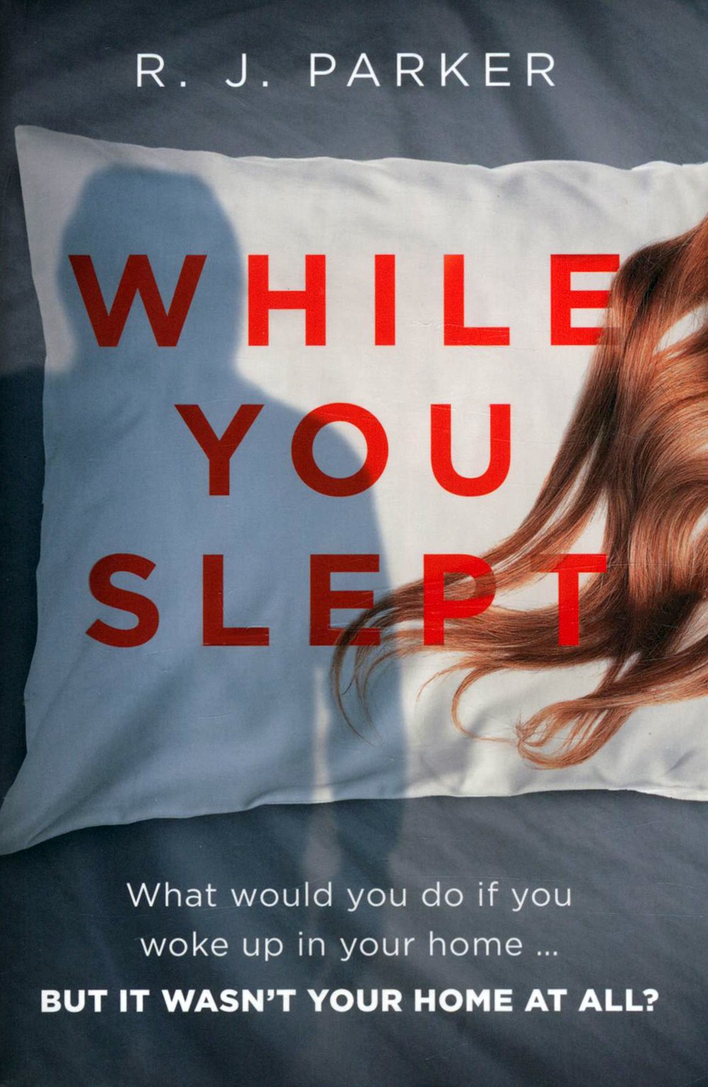 

While You Slept