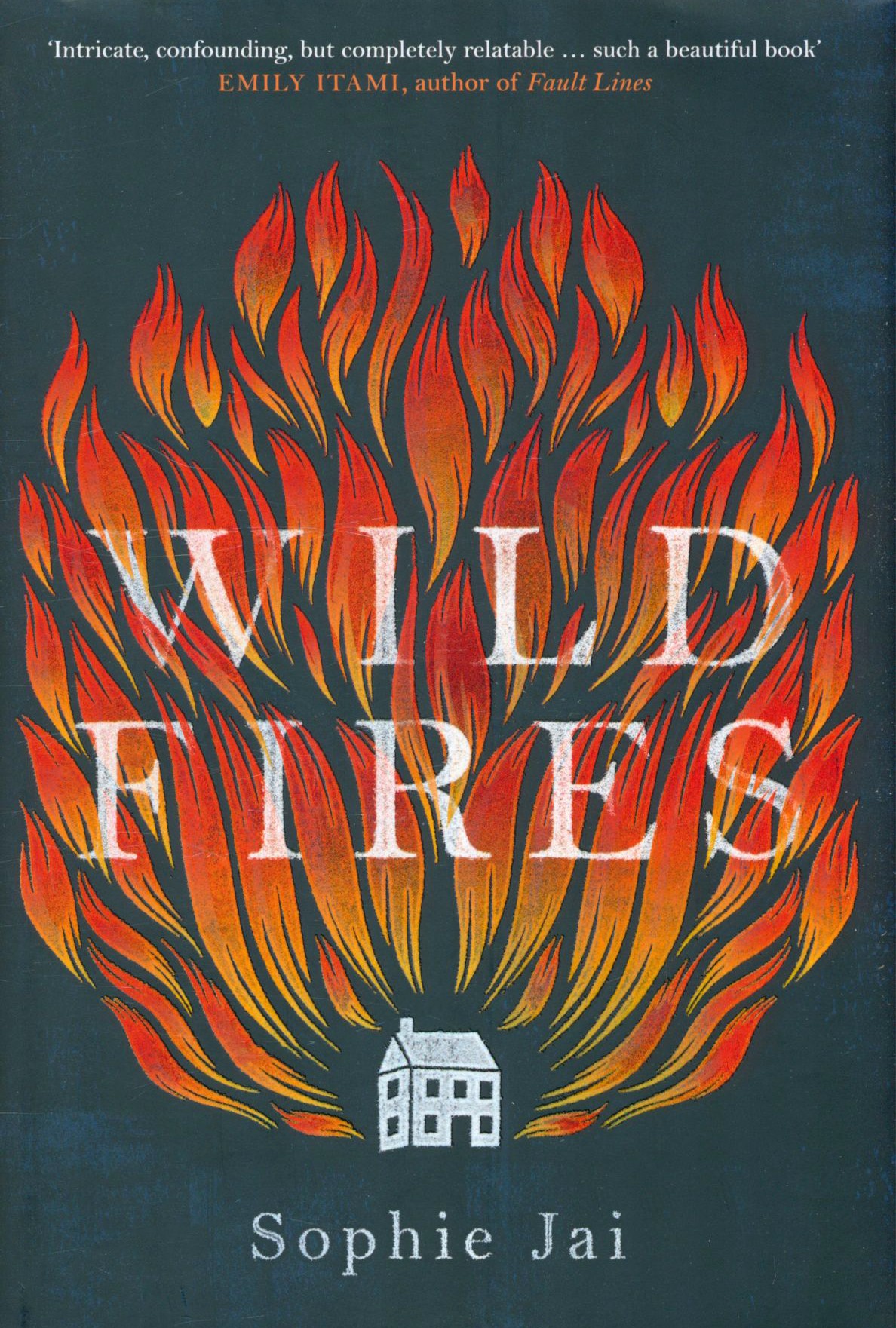 

Wild Fires