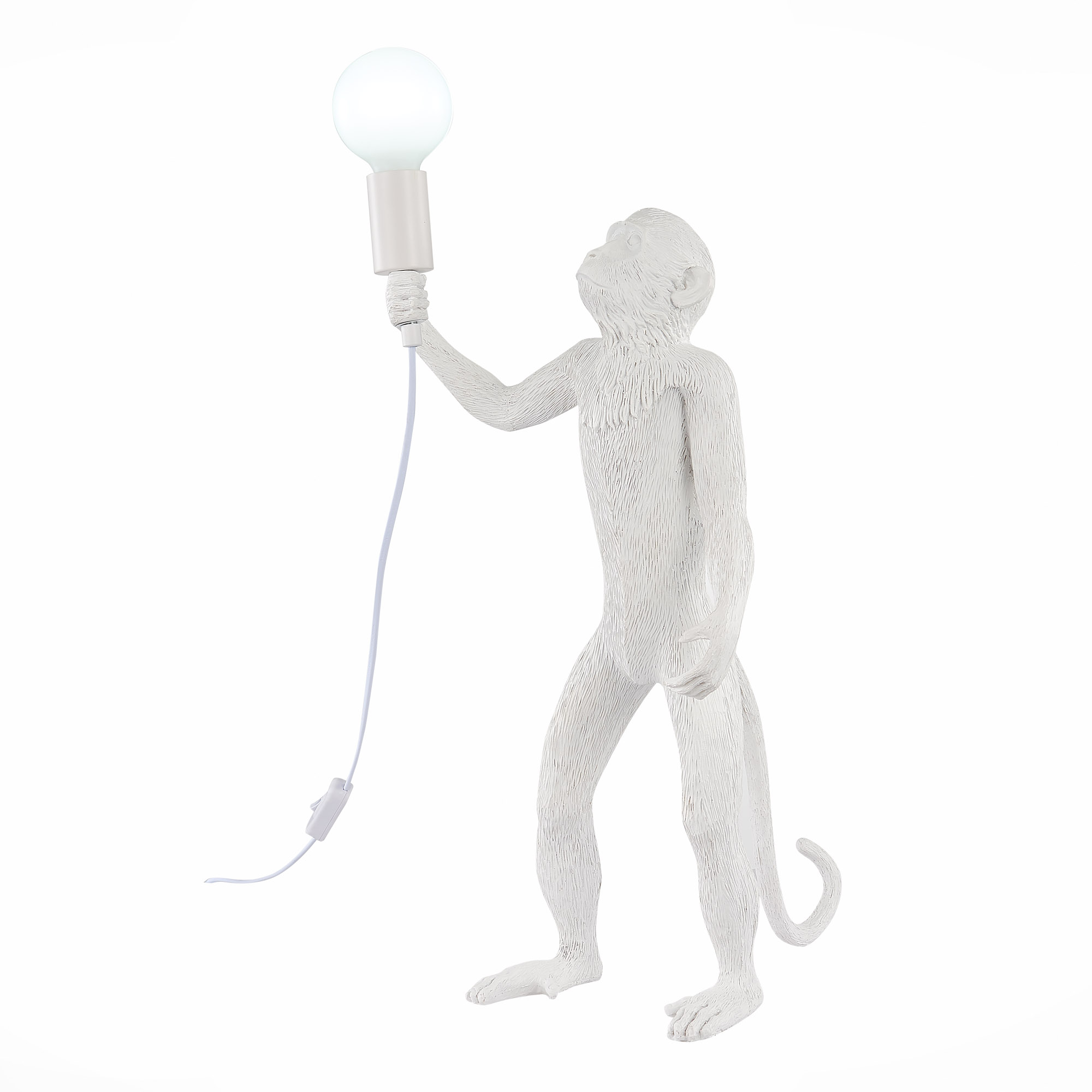фото Evoluce настольная лампа evoluce tenato sle115114-01