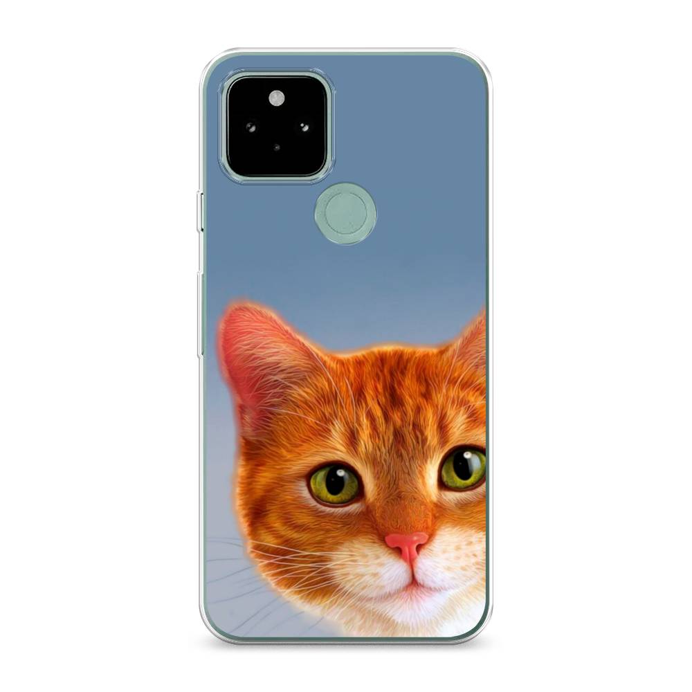 

Чехол для Google Pixel 5A "Любопытный котик", Коричневый, 271050-1