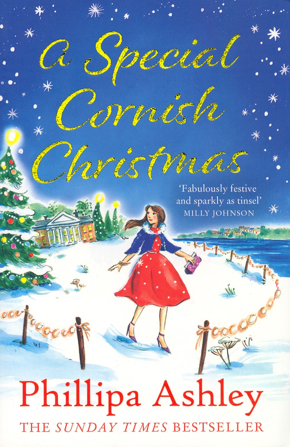 A Special Cornish Christmas 600018966304