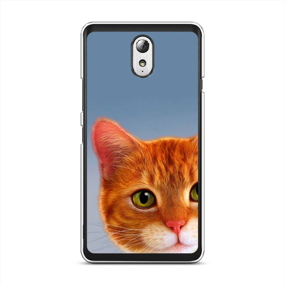 Чехол на Lenovo Vibe P1m 
