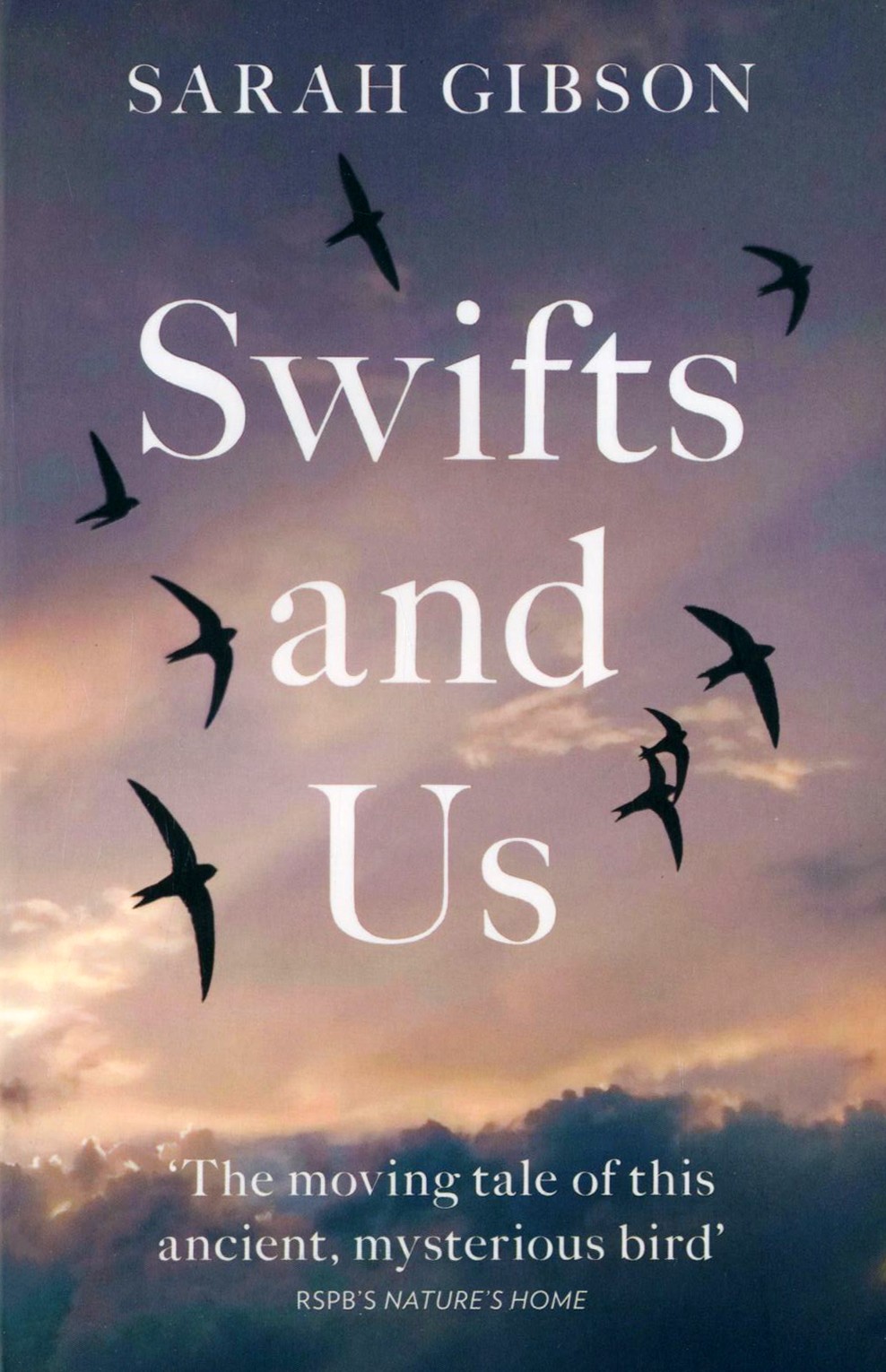 

Swifts and Us The Life of the Bird that Sleeps in the Sky