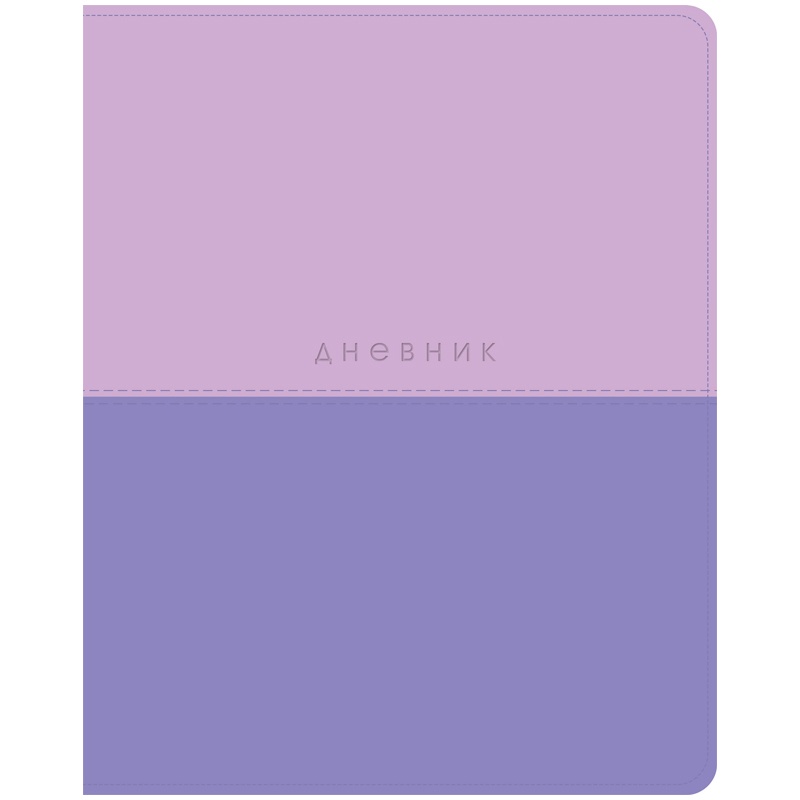 ArtSpace 1-11 класс, 48 листов Лайт Combo, Фиолет, тиснение