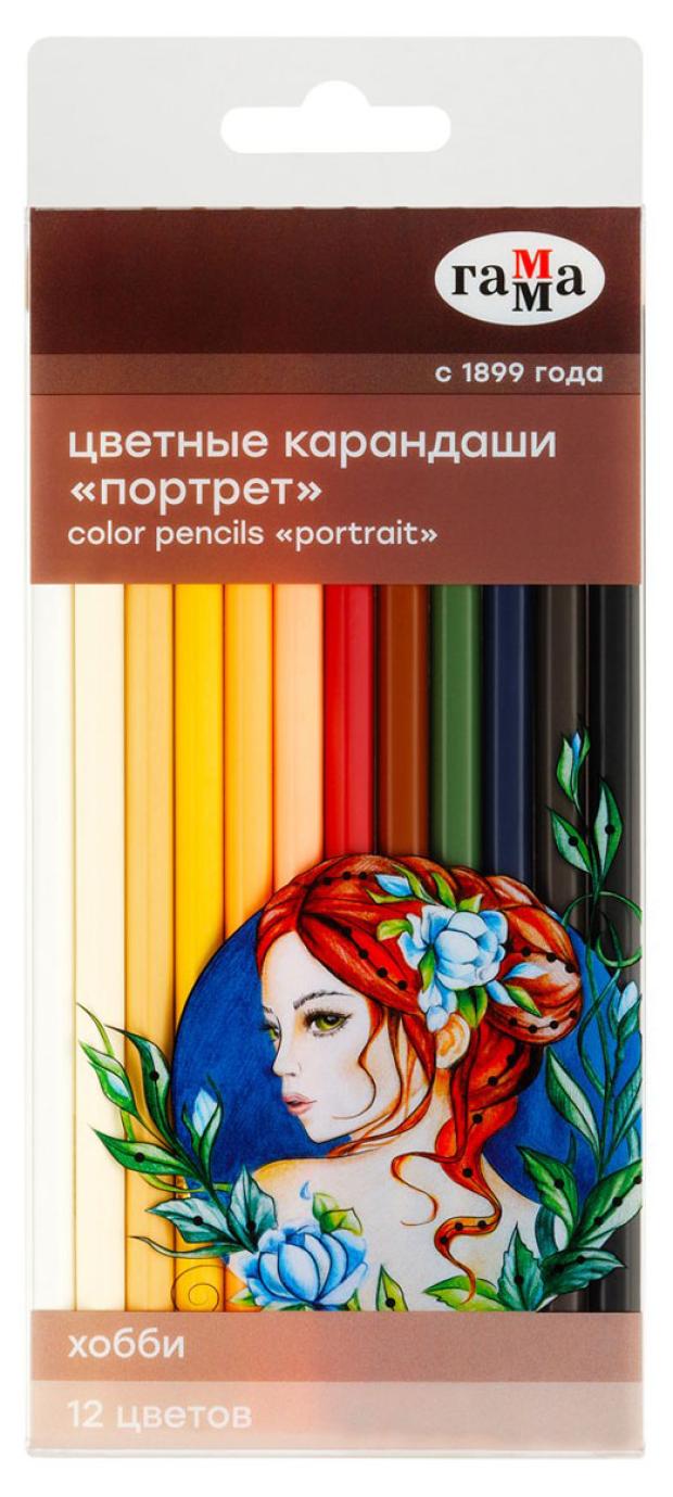 

Карандаши цветные Гамма Хобби. Портрет, 12цв.,заточен., ПВХ, европодвес, Разноцветные