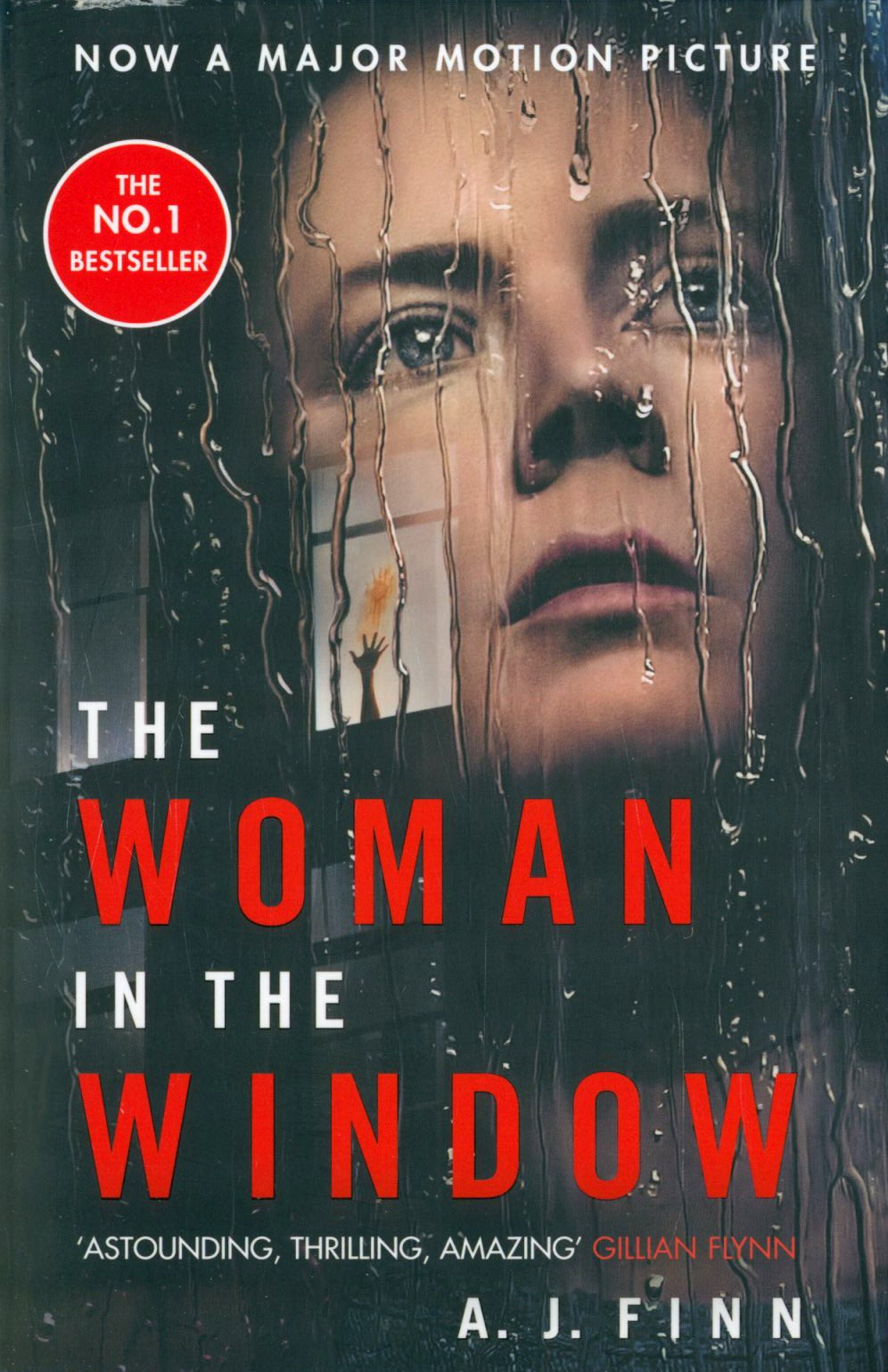 

The Woman in the Window