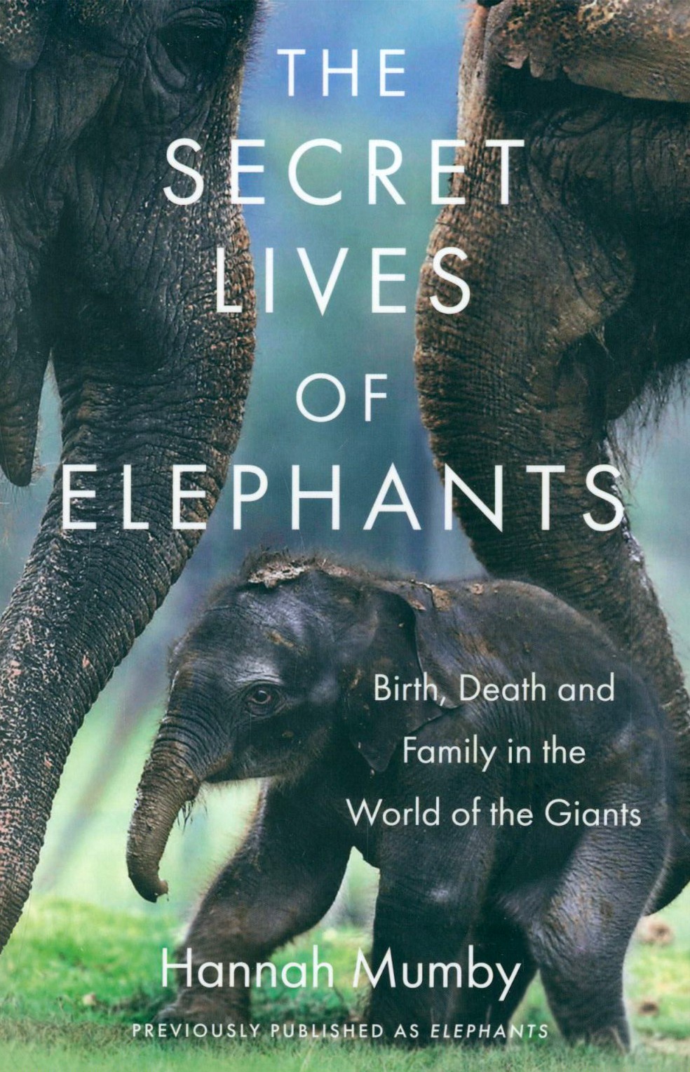 

The Secret Lives of Elephants Birth, Death and Family in the World of the Giants