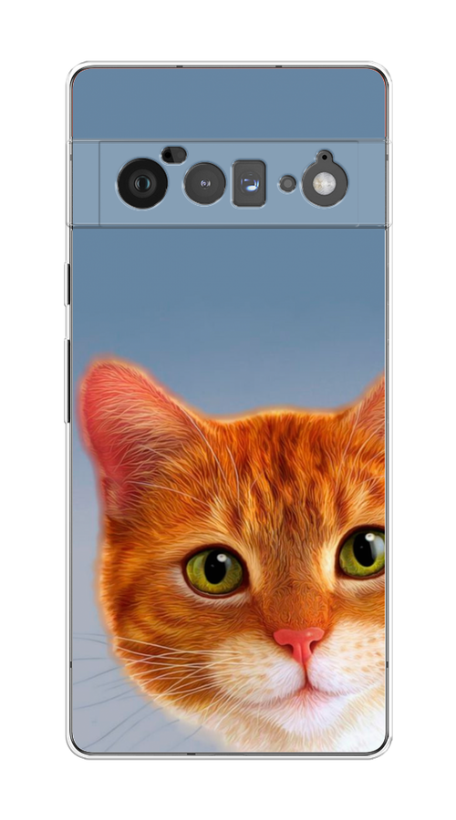 

Чехол на Google Pixel 6 Pro "Любопытный котик", Коричневый, 270950-1