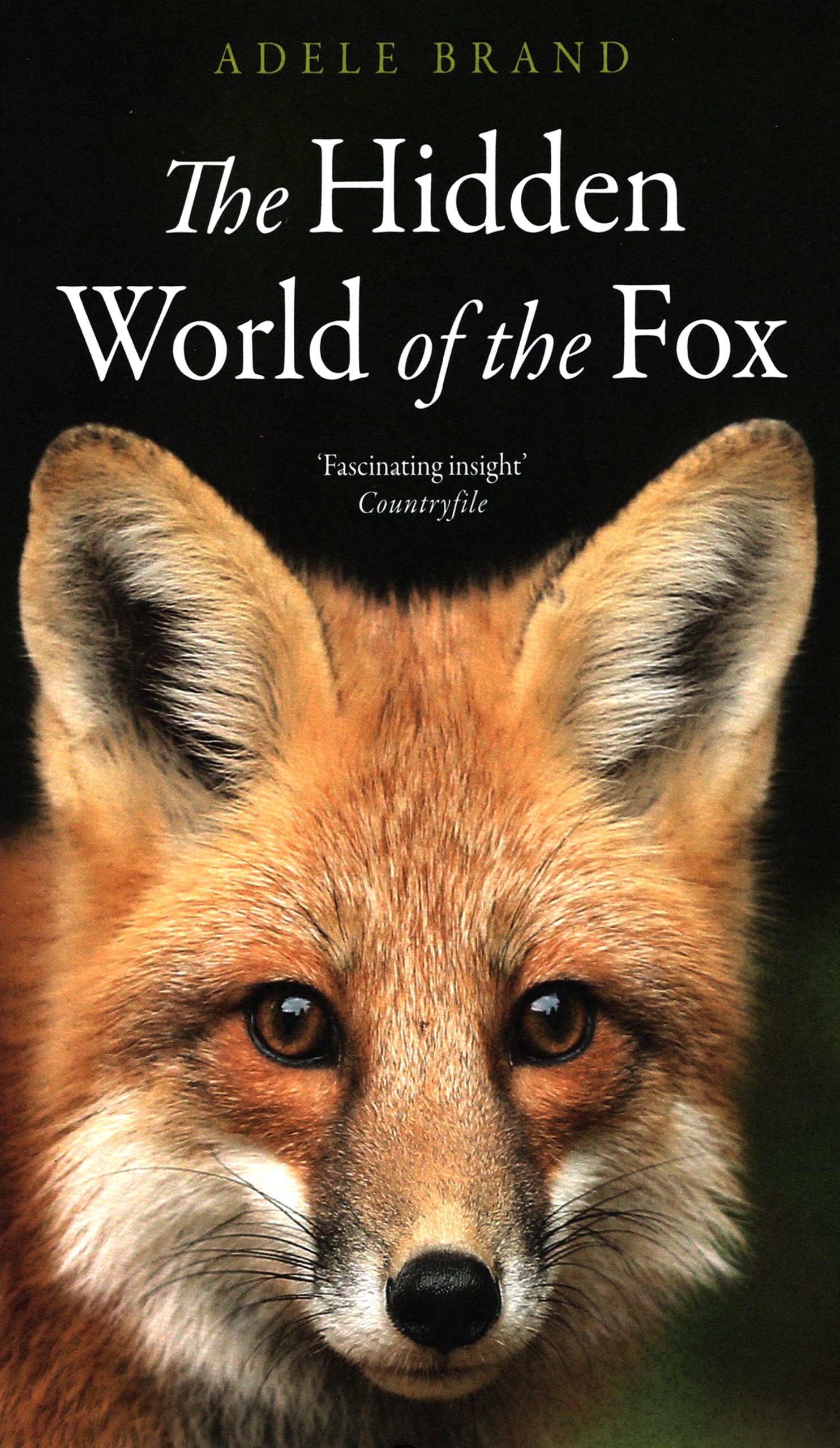 

The Hidden World of the Fox