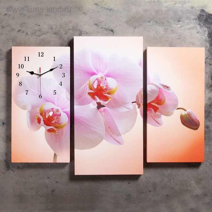 фото Часы настенные модульные розовая орхидея, 60 × 80 см сюжет