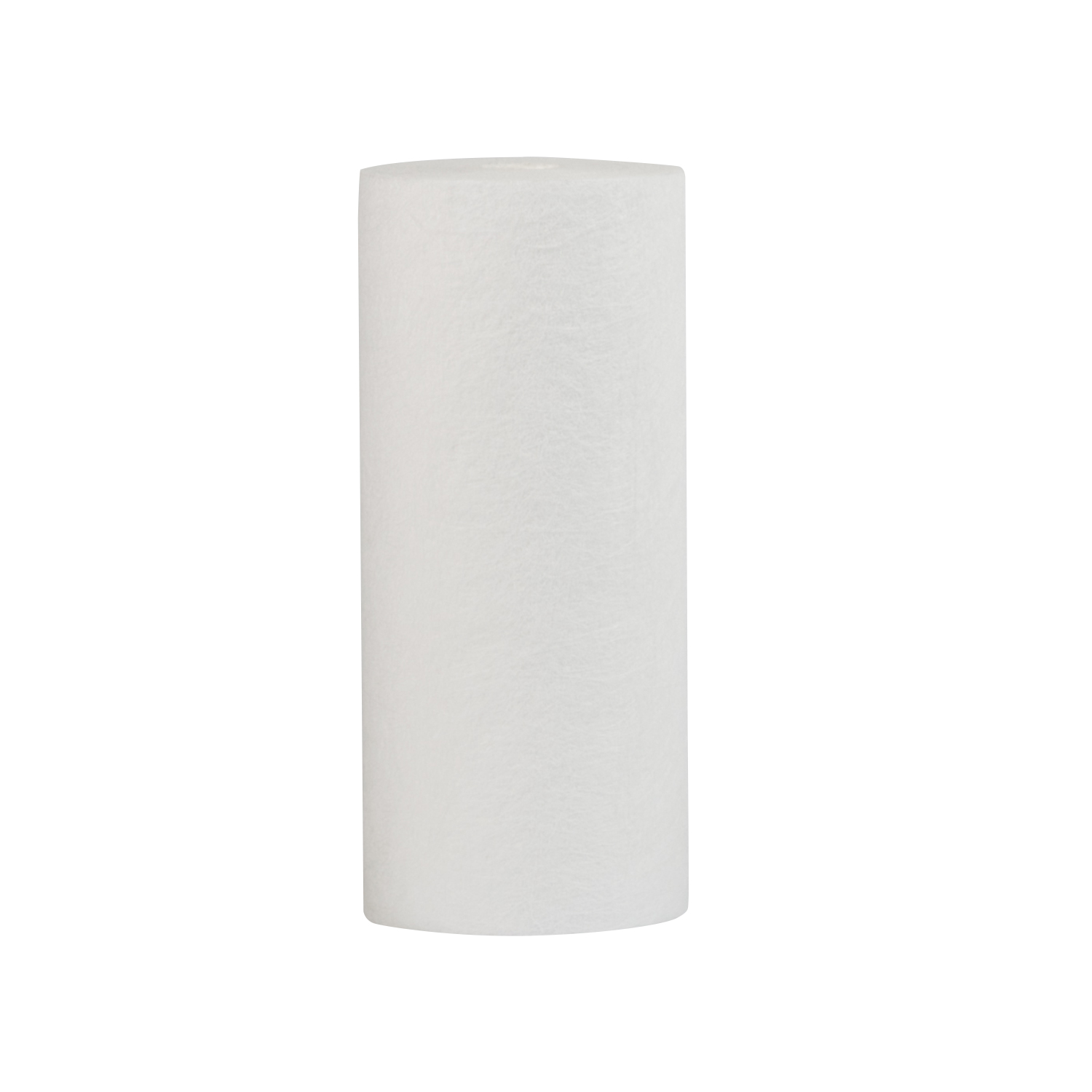 

Картридж Гейзер PP 25-10BB, 5769, Белый