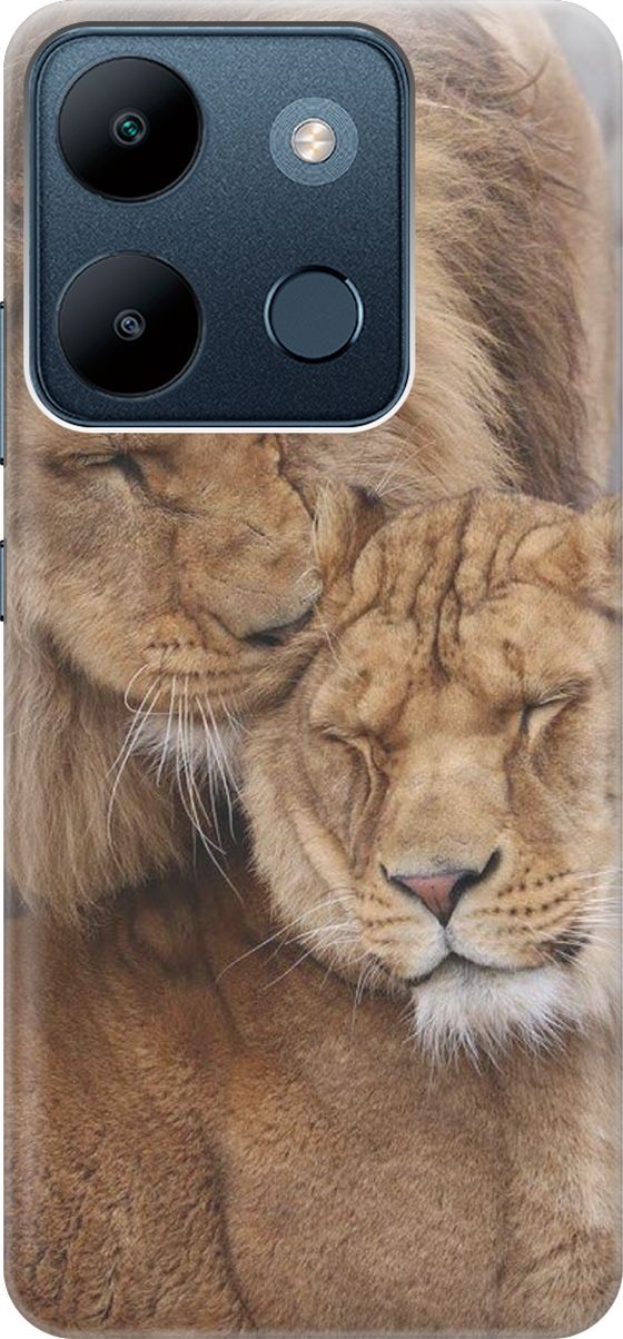 

Чехол на Infinix Smart 7/Tecno Spark Go 2023/Pop 7/Pop 7 Pro "Милые львы", Бежевый;коричневый, 158839