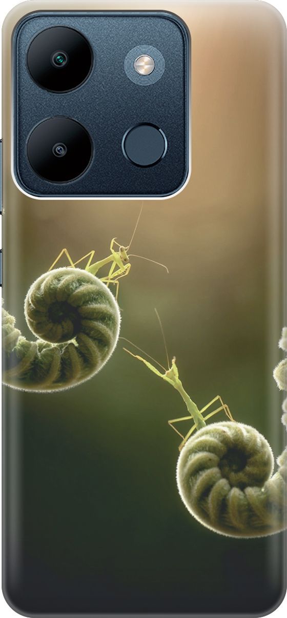 

Чехол на Infinix Smart 7/Tecno Spark Go 2023/Pop 7/Pop 7 Pro "Пара богомолов", Бежевый;зеленый, 158839