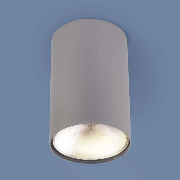 Накладной точечный светильник 6877 SL серебро Nowodvorski, Elektrostandard  - Купить