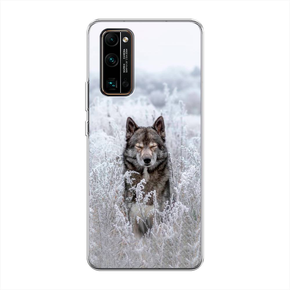 

Чехол Awog на Honor 30 Pro Plus "Волк в поле", Белый;черный, 612250-1