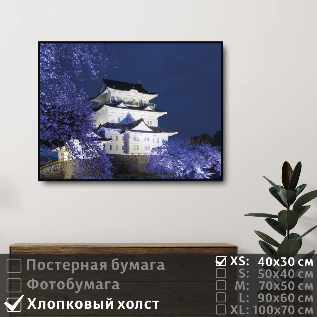 

Постер на холсте ПолиЦентр Замок и сакура в японии 40х30 см, ЗамокИСакураВЯпонии
