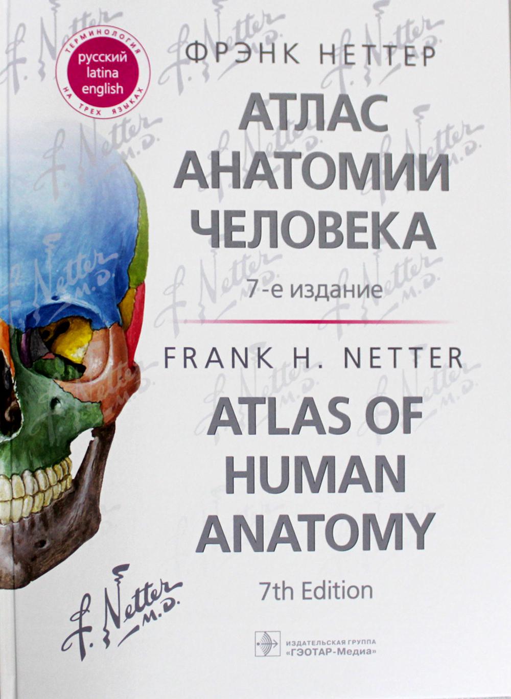 фото Книга атлас анатомии человека = atlas of human anatomy 7-е изд. гэотар-медиа