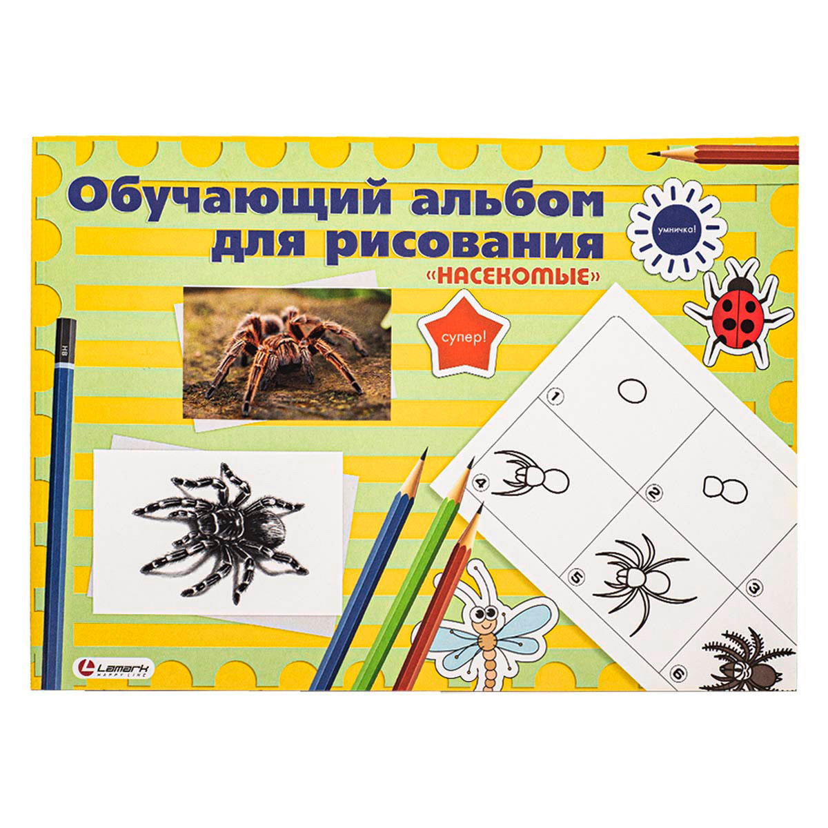 

LAMARK28459 Альбом для рисования Обучающий 24л. на склейке Насекомые, 100г.м