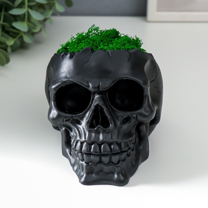 фото Кашпо бетонное "череп" высота 10 см черное со мхом (мох зеленый стабилизированный) nobrand