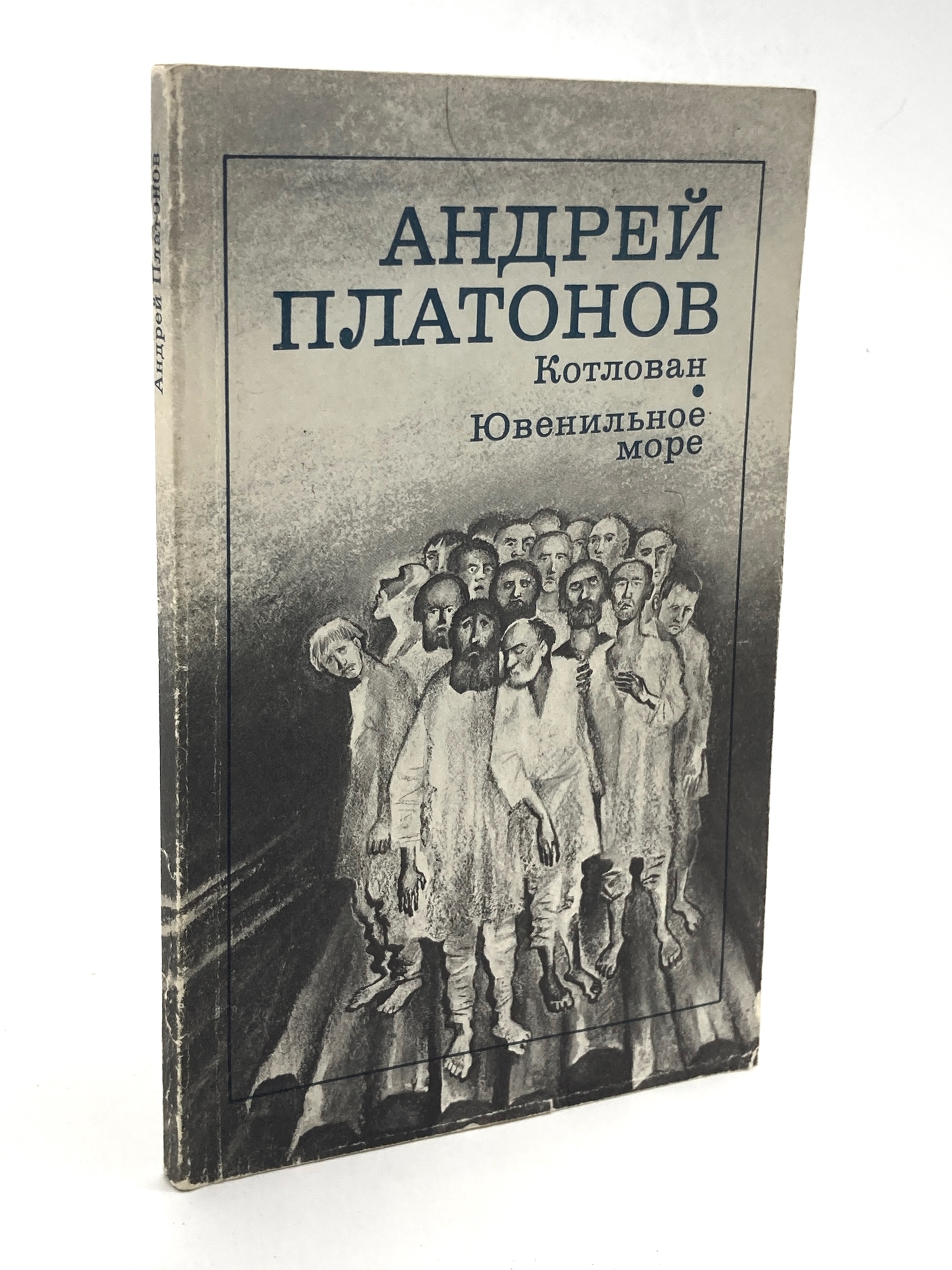 

Котлован. Ювенильное море