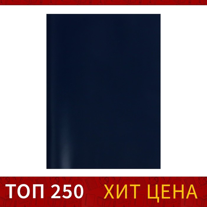 

Тетрадь А4, 48 листов в клетку Calligrata, бумвинил, блок офсет, синий