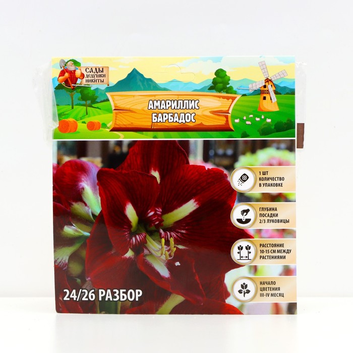 Луковицы цветов амариллис Сады Дедушки Никиты 9513290 нет шт