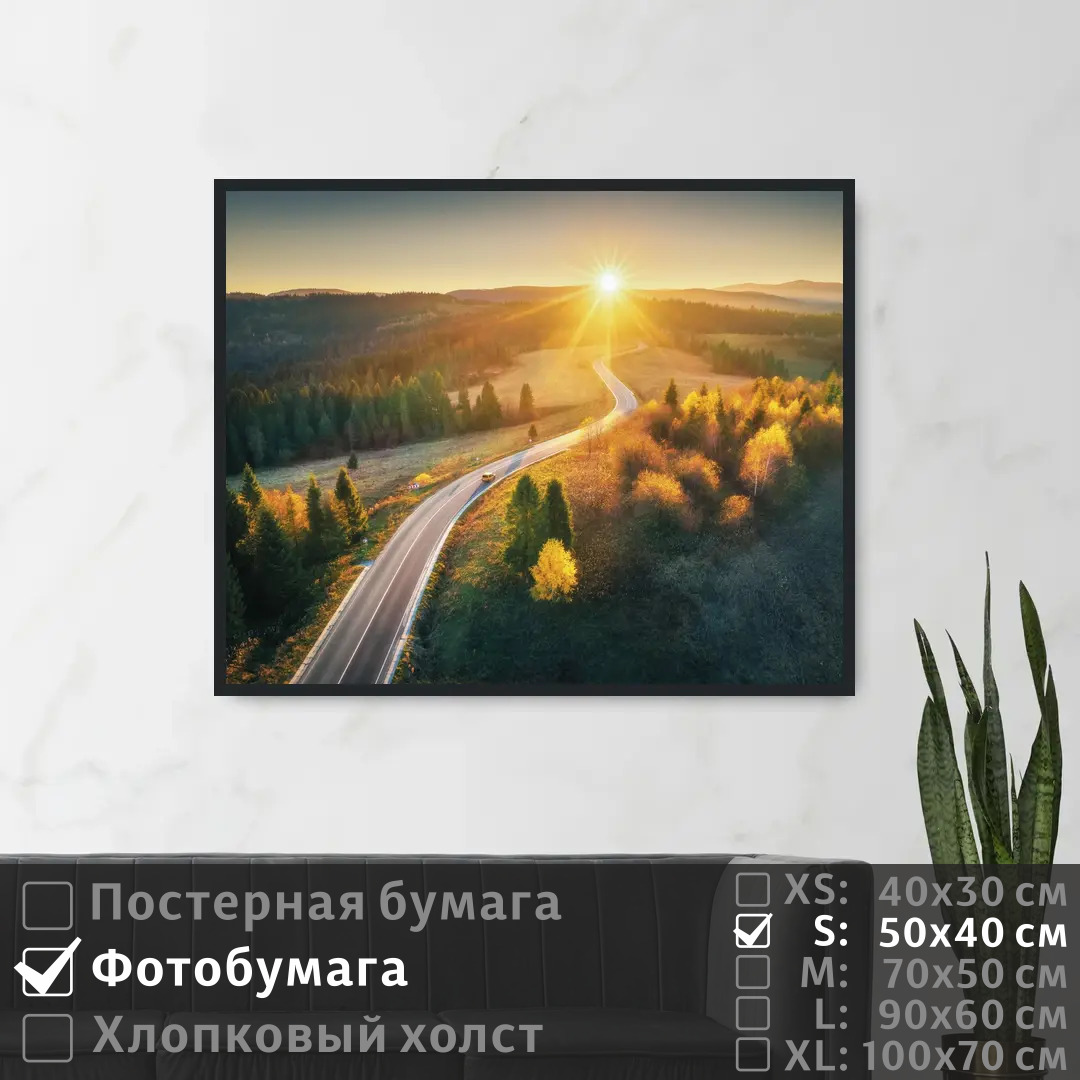 

Постер на фотобумаге ПолиЦентр Осенний лес на рассвете 50х40 см, ОсеннийЛесНаРассвете