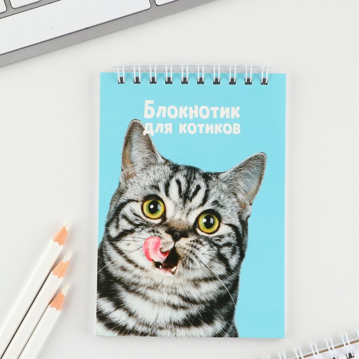 

Блокнот А6, 40 л на гебне, мягкая обложка «Котик» 10 шт.