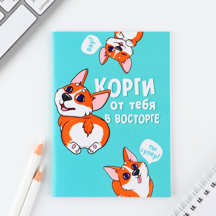 

Блокнот А6, 24 листа, в клетку «Корги»