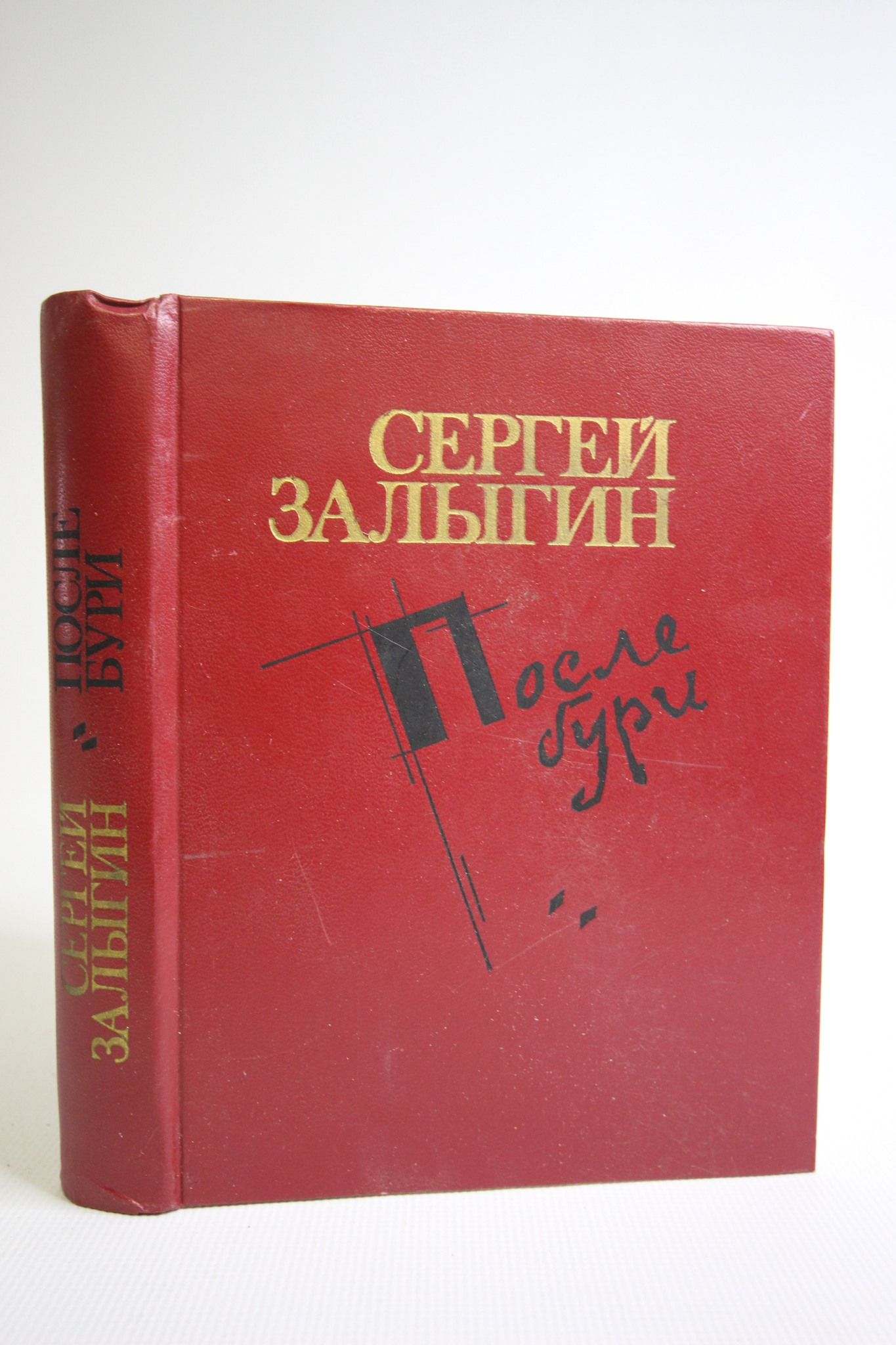 

После бури, Залыгин С.П.