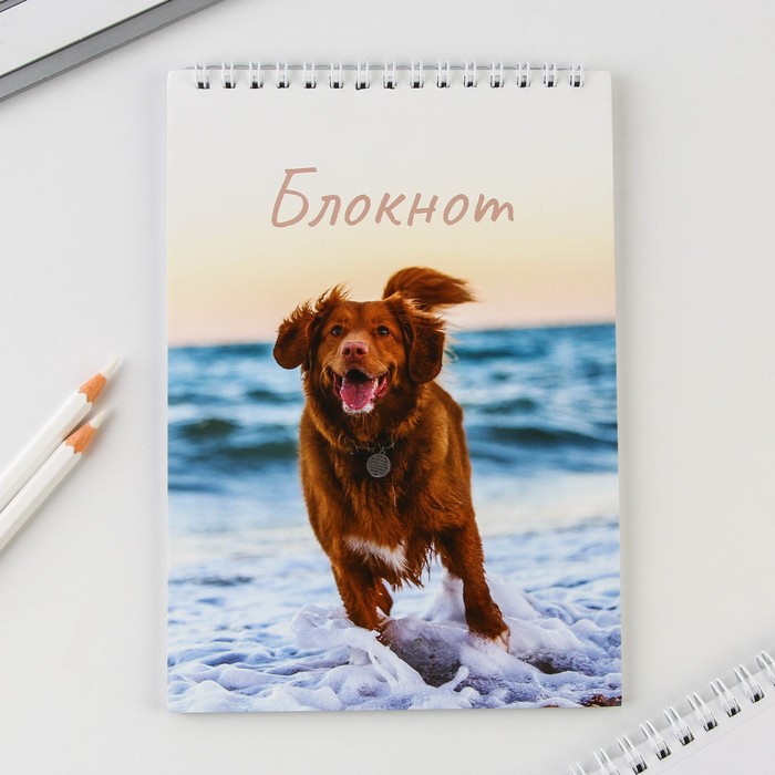 

Блокнот А5 на гребне 40 л. «Собака»