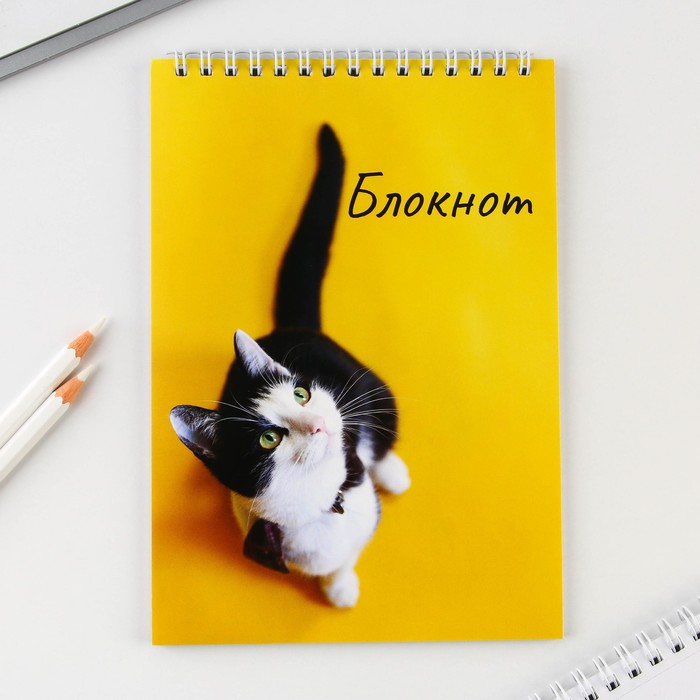 

Блокнот А5 на гребне 40 л. «Кот»