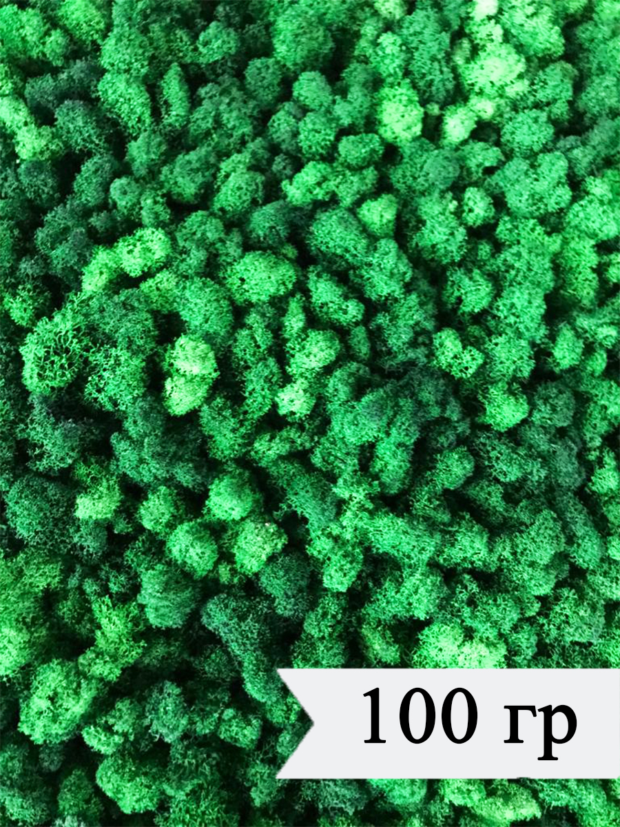 Мох Планета Флористики Стабилизированный ягель, зеленый, 100 гр