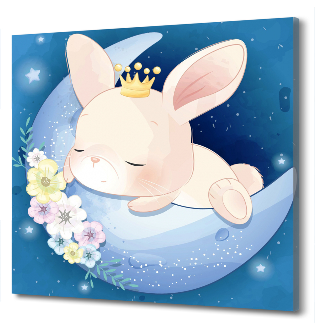 

Картина на холсте Кролик спит на луне PRC-1498 (70x70см). Натуральный холст