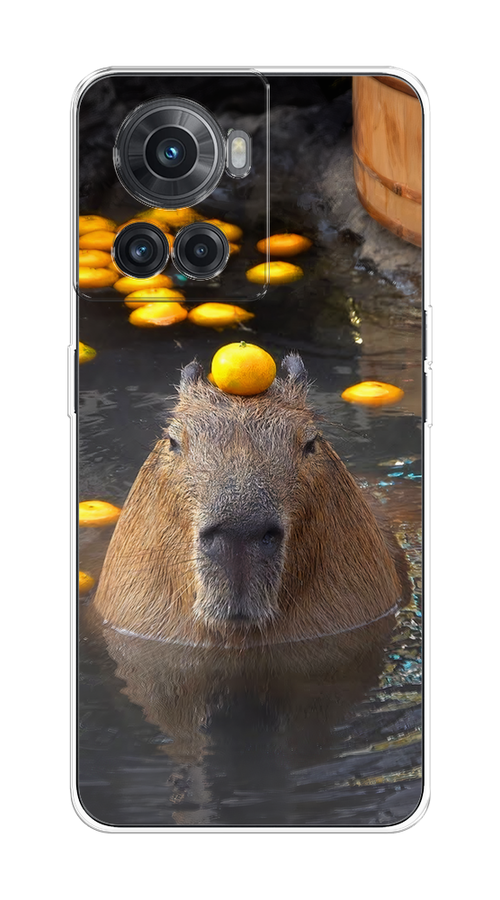 

Чехол на OnePlus 10R/Ace "Капибара отдыхает", Коричневый;оранжевый;серый, 152950-1