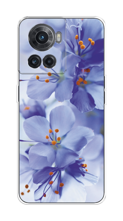 

Чехол на OnePlus 10R/Ace "Фиолетовые цветки", Фиолетовый;синий, 152950-1