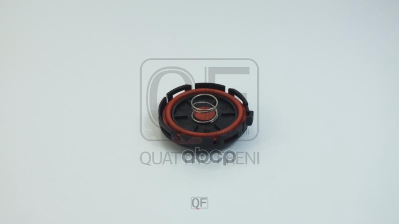 

Ремкомплект Клапана Клапанной Крышки QUATTRO FRENI qf62a00122
